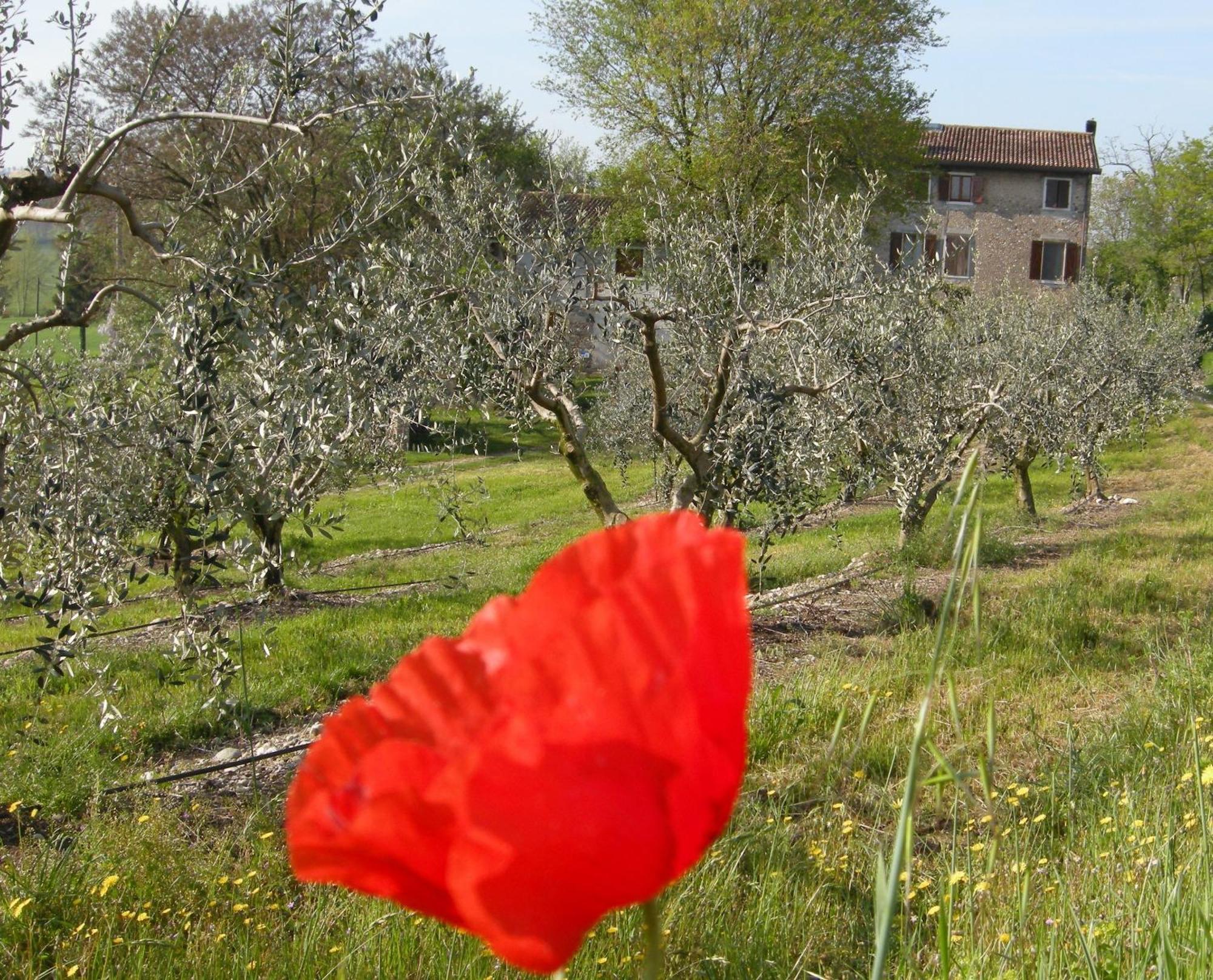 I Vigneti Bed & Breakfast Salionze Exterior foto